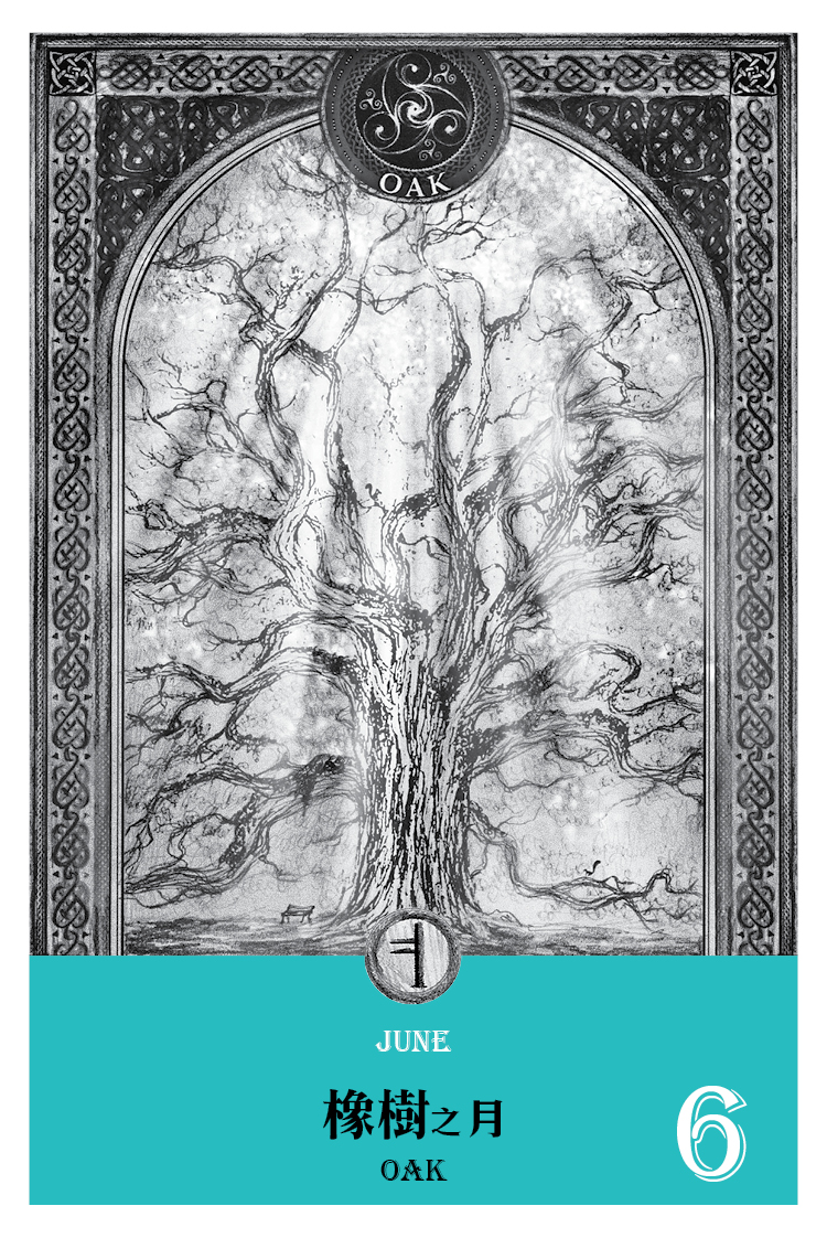 魔法手帳誌 16年6月 橡樹月6 10 7 7 荒人巫思 手抄spiritual Evolution Enlightenment Rituals Power